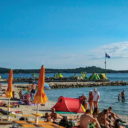 Pineta,ogranak Iii Iii *