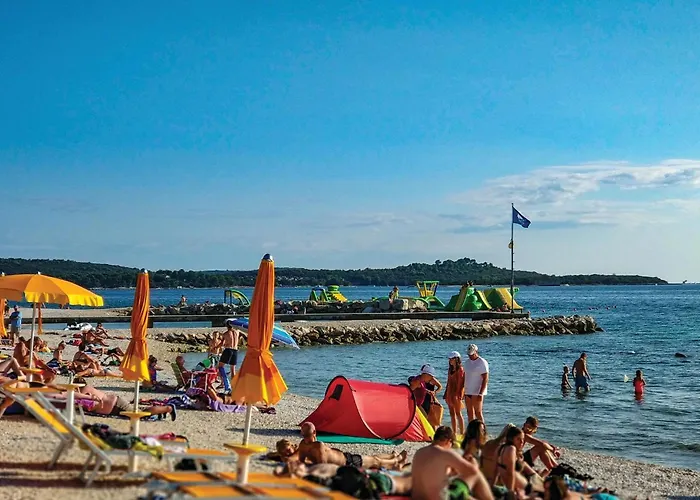 Pineta,ogranak Iii Iii *