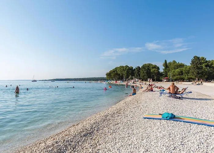 Pineta,ogranak Iii Iii Fažana